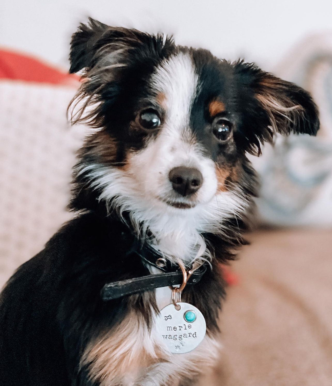 Custom Boujee Pet Tag