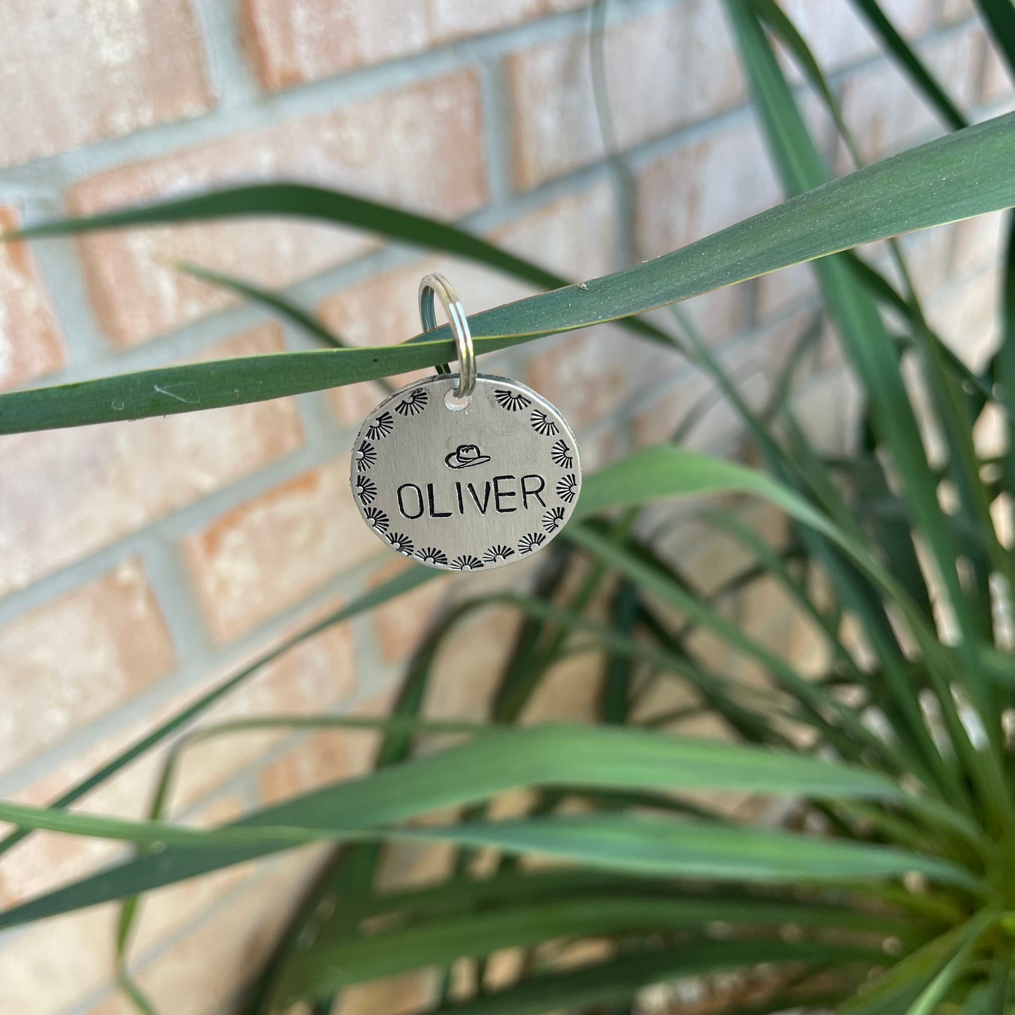 Custom Pet Name Tags 🐶🖤🐱