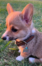 Load image into Gallery viewer, Custom Boujee Pet Tag
